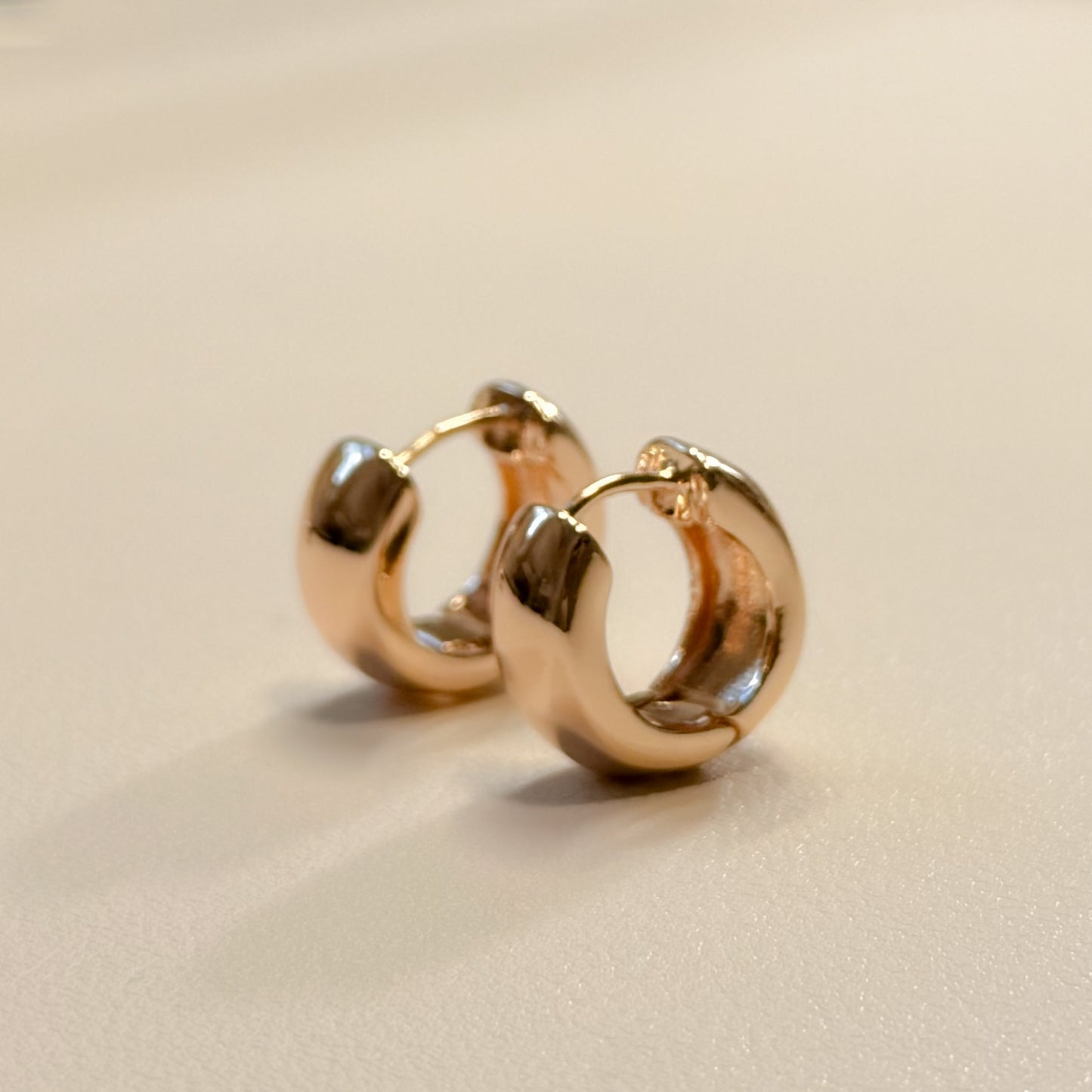 EARRING HOOPS PERFECT BOLD