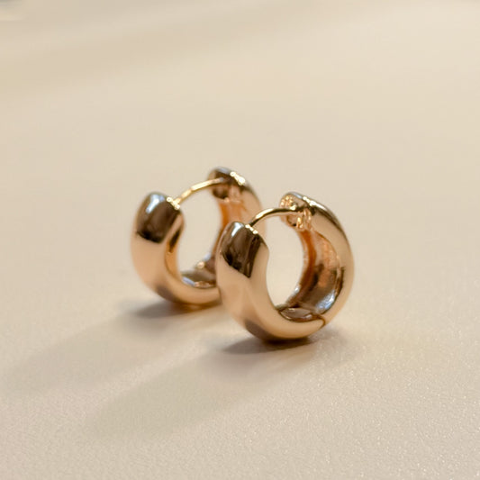 EARRING HOOPS PERFECT BOLD