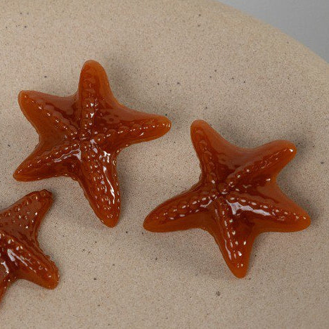 EARRINGS RESIN STARFISH