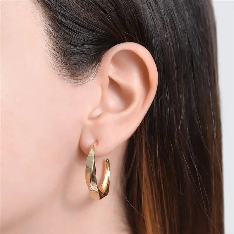 EARRING HOOPS MEDIUM TWIST