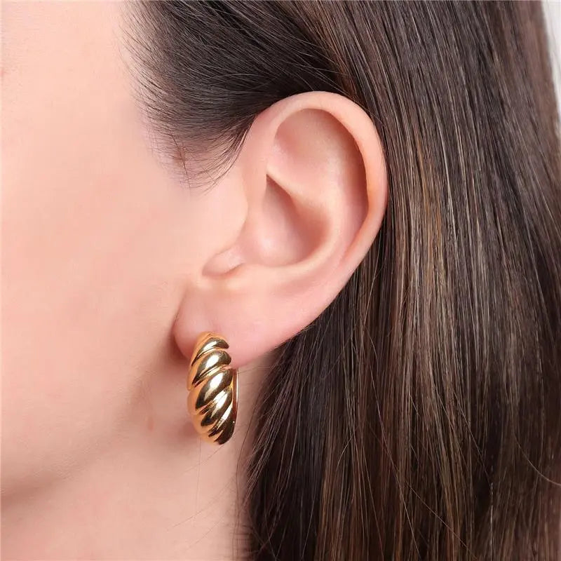 EARRING HOOPS CROISSANT