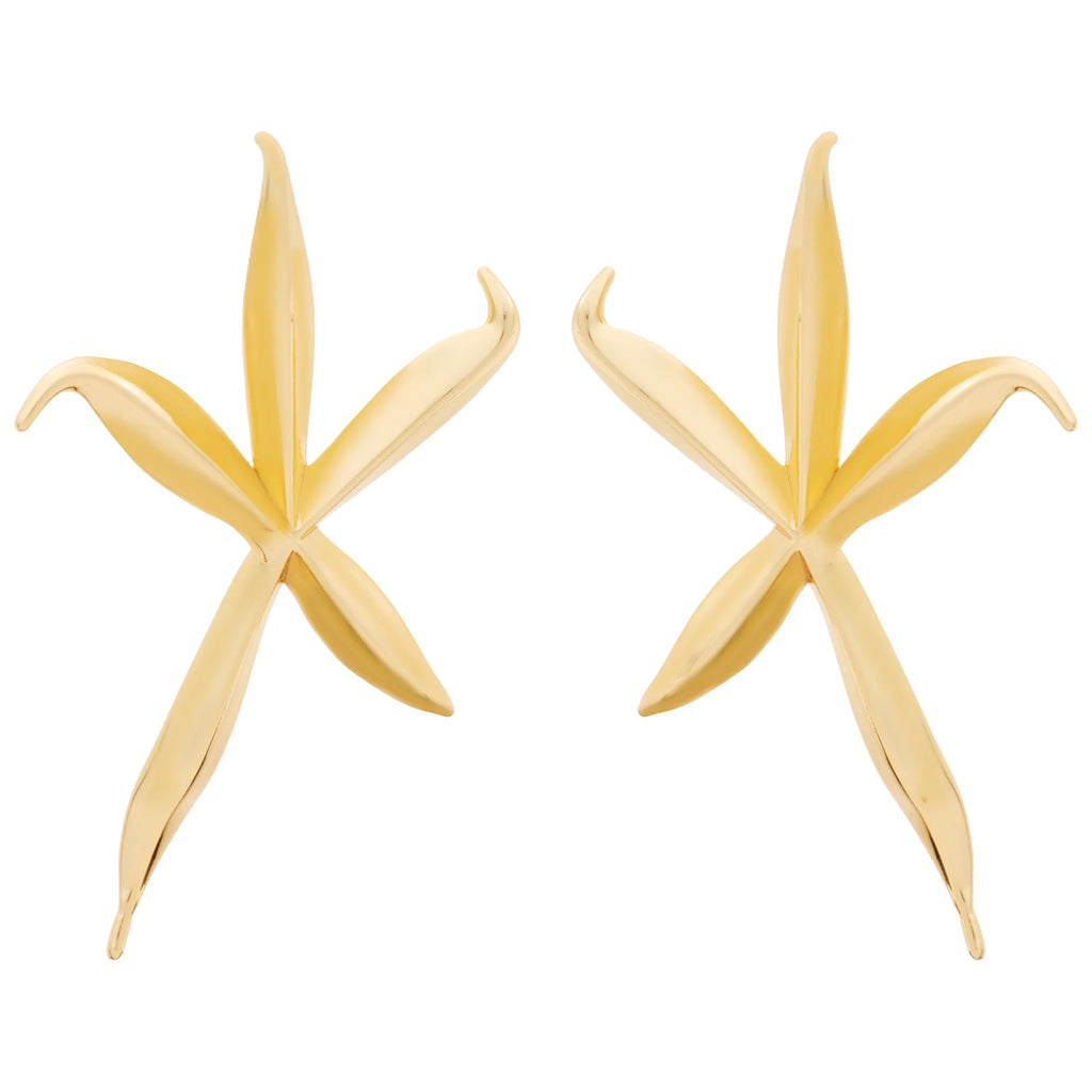 EARRINGS STAR FISH ORGANIC BY MADENNA