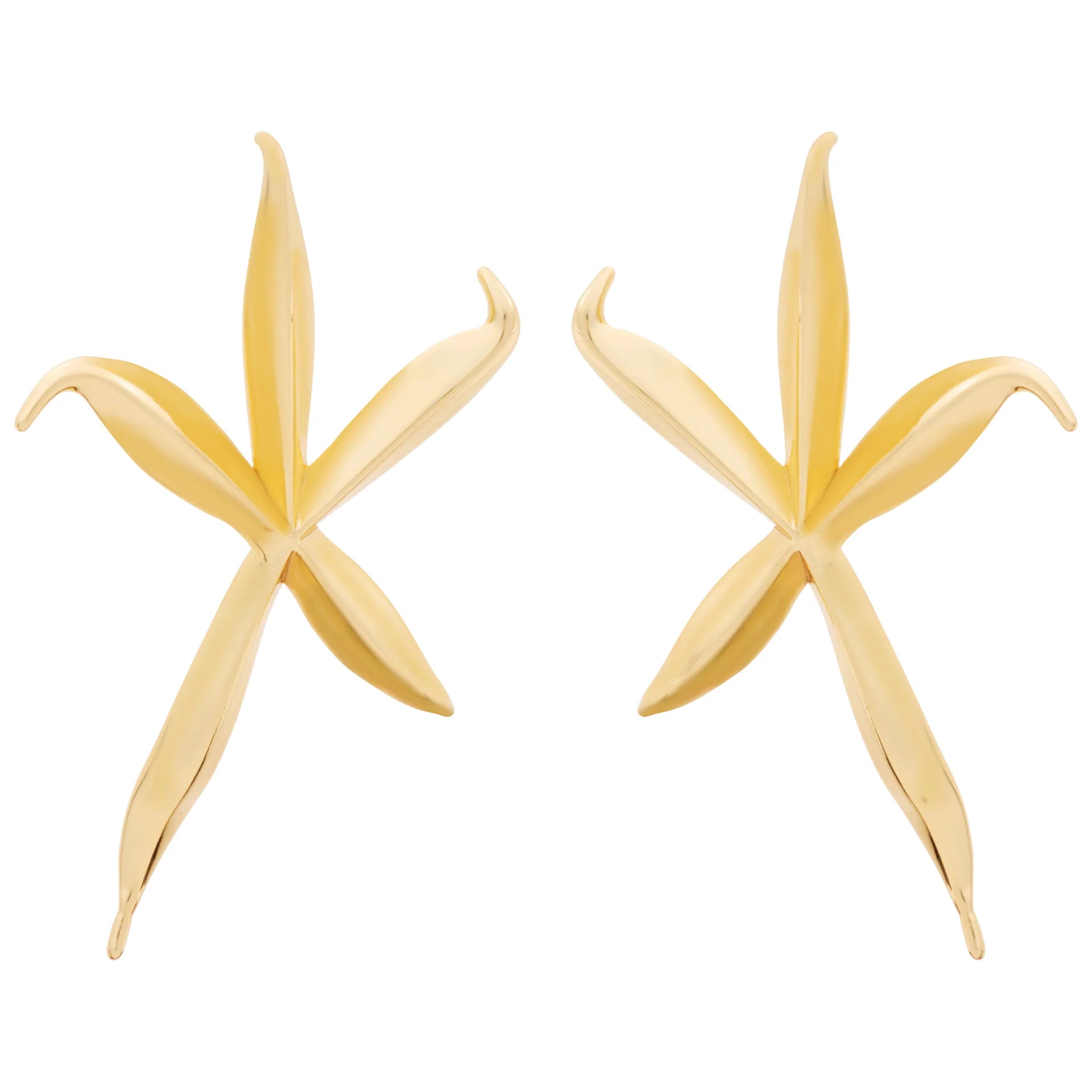 EARRINGS STAR FISH ORGANIC BY MADENNA